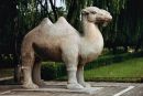 Stone Camel, Sacred Way, Ming Tombs, Beijing